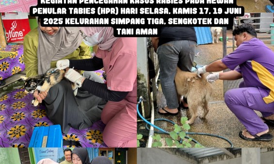 Cegah Rabies dari Akarnya! Vaksin Anti Rabies Gratis, Kapan lagi...